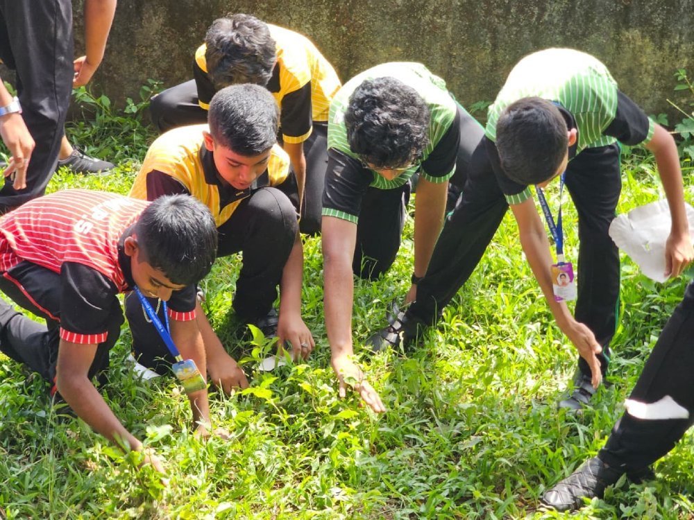 Clean and Plastic Free Campus